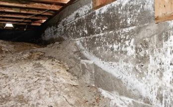 Mold in Crawl Space