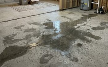 Moisture Coming Through Concrete Floor