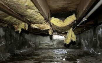 Wet Crawl Space Insulation