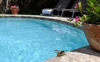 Keep Wasps Away From Pool