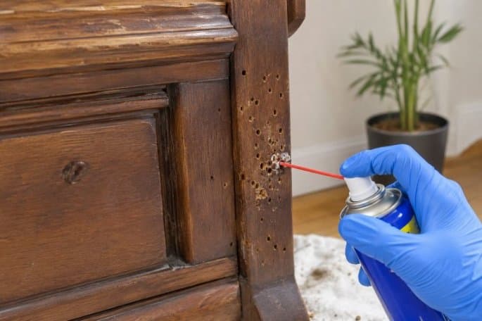 Get Rid of Woodworm From Furniture
